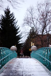 Indianapolis, United states, Snow photo