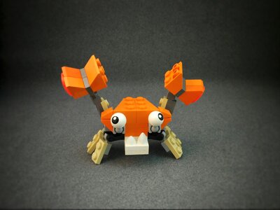 Animal sea creature salt water