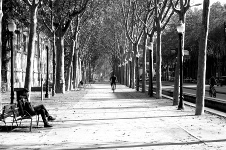 Spain, Barcelona, Beautiful