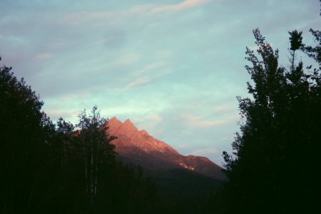 Wrangellst elias national park  preserve, United states, Orange