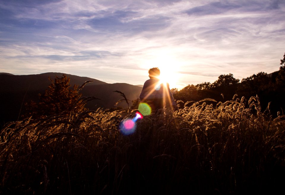 Sunset, Trip, Forest