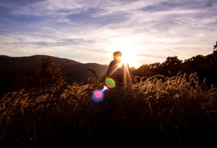 Sunset, Trip, Forest