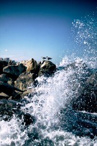 Wave, Constana, Romania