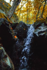 Romania, Autumn, Waterfall