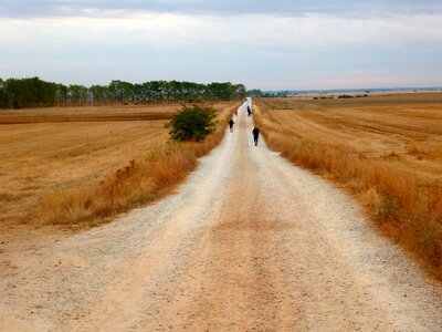 Landscape camino santiago field photo