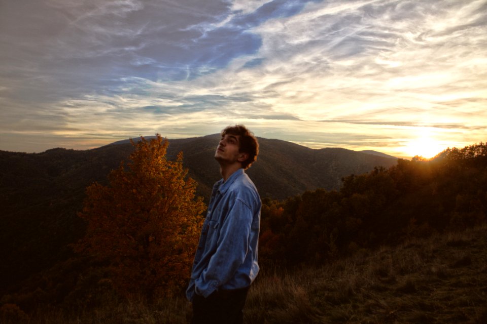 Forest, Portrait