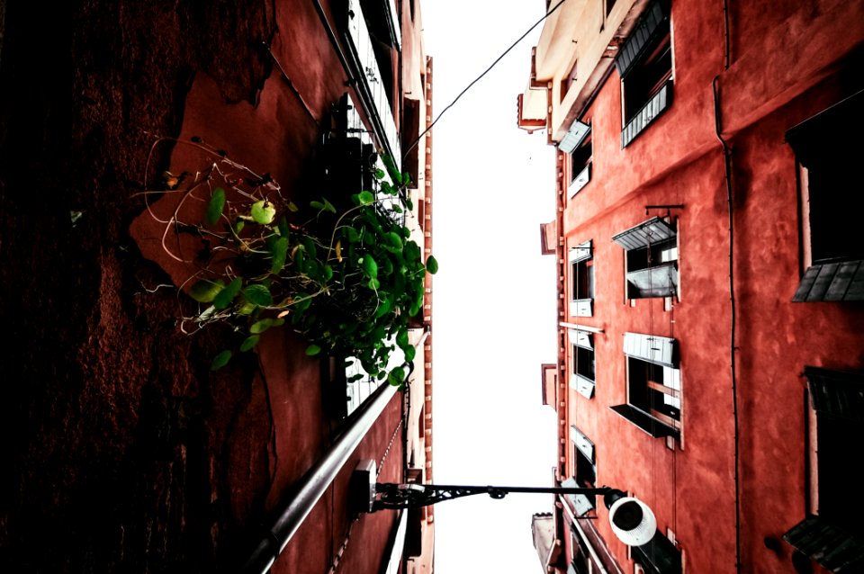 red painted buildings