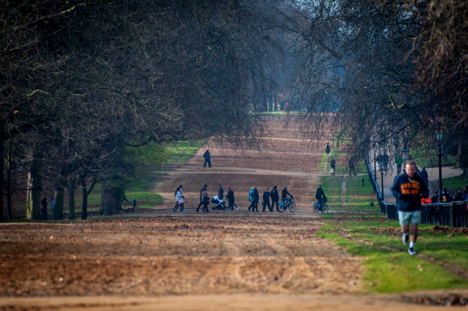 people standing on pathway photo