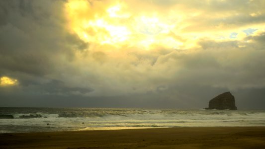 Pacific city, United states, Yellow photo