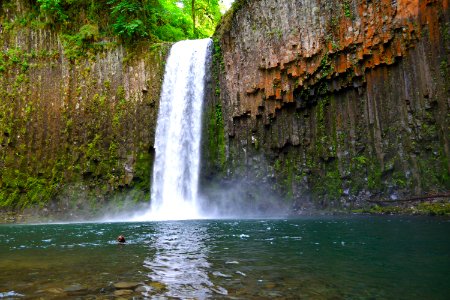 Dog, Abiqua falls, United states