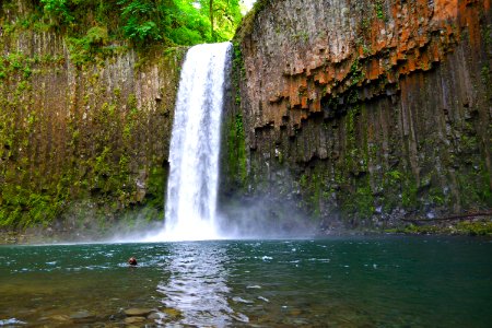 Dog, Abiqua falls, United states photo