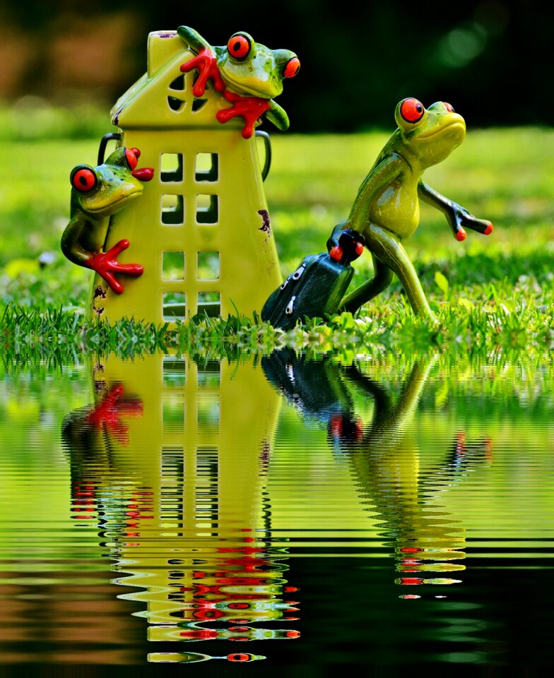 Mirroring water bank