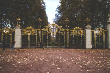 Buckingham palace, London, United kingdom