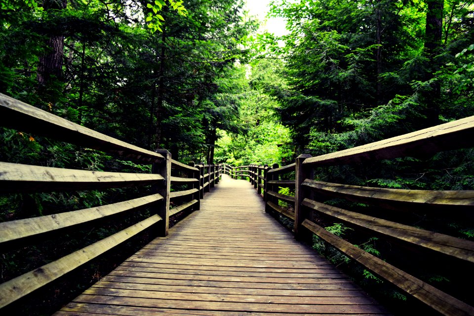 Tahquamenon falls state park, Paradise, United states
