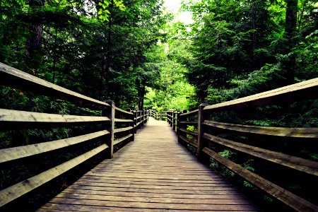 Tahquamenon falls state park, Paradise, United states
