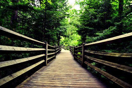 Tahquamenon falls state park, Paradise, United states photo