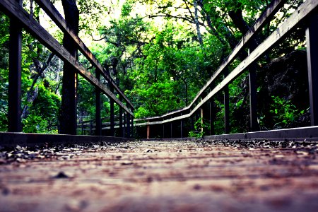 Friedrich park, San antonio, United states