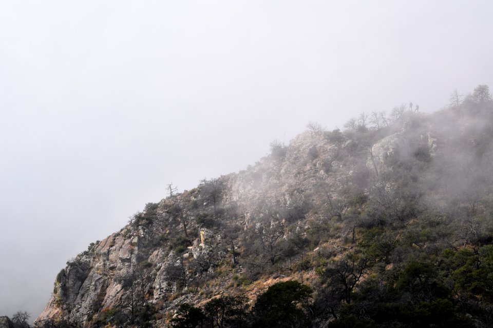 Emory peak trail, Big bend national park, United states