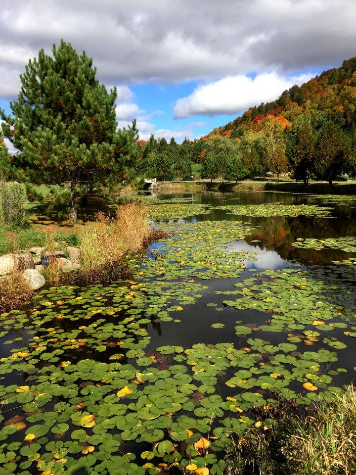 Harrington, Qubec, Canada