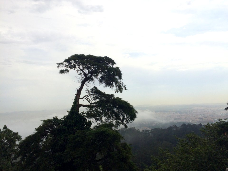 Portugal, Sintra, Fog