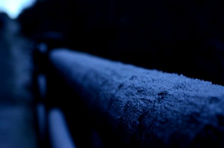 Morning, Night, Frost