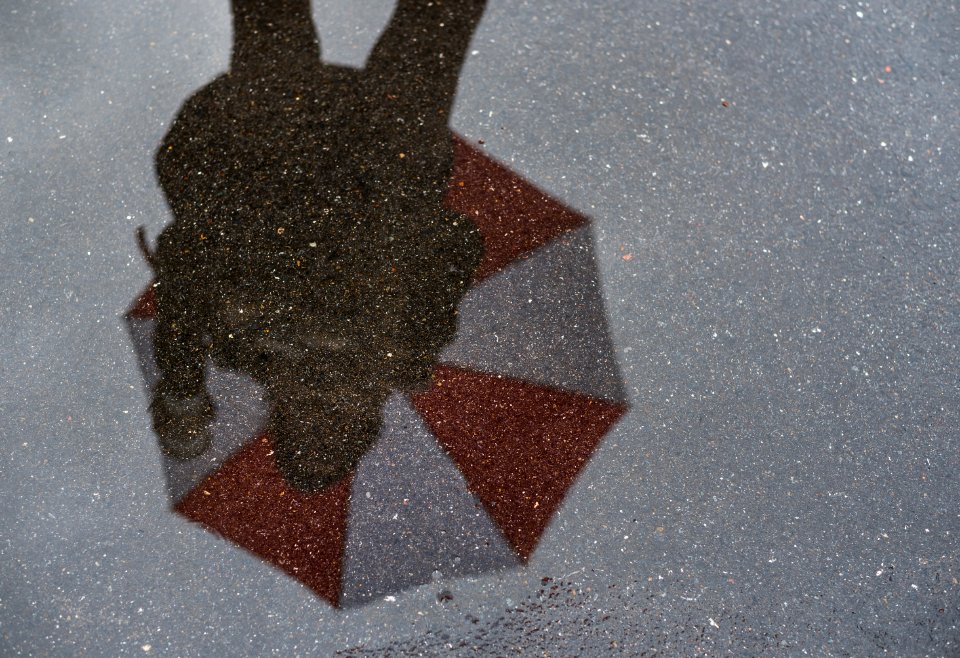 San francisco, United states, Rainy