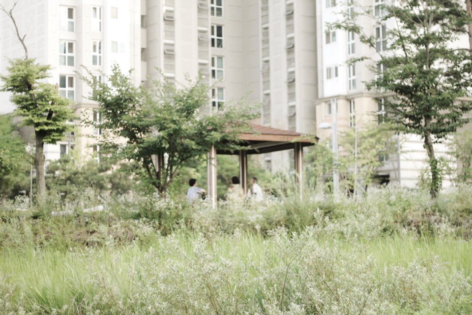 Seoul, South korea, Urban