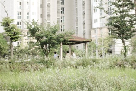 Seoul, South korea, Urban