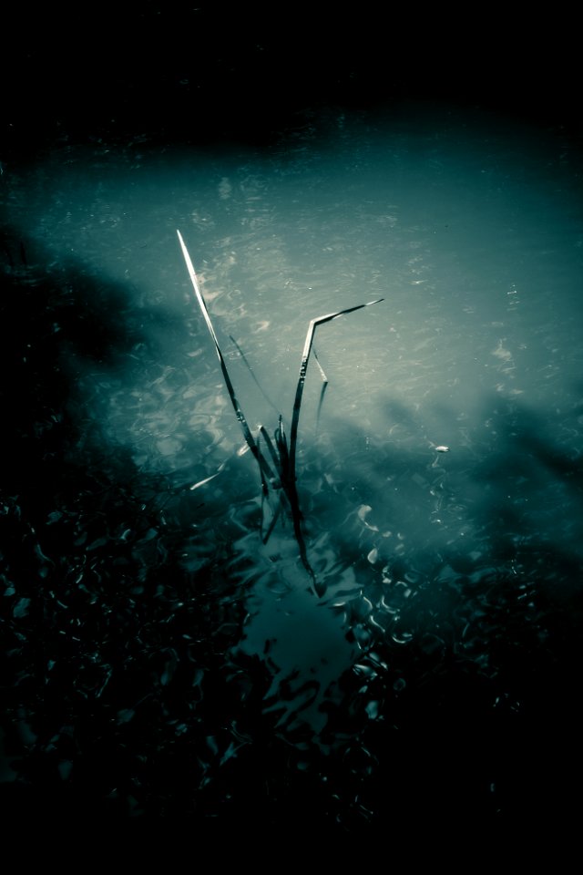 Dark water, Muddy, Shades