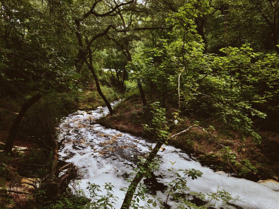 Nature, Falling creek, Waterfall