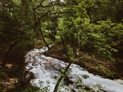 Nature, Falling creek, Waterfall
