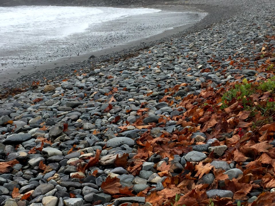East point, United states, Waves