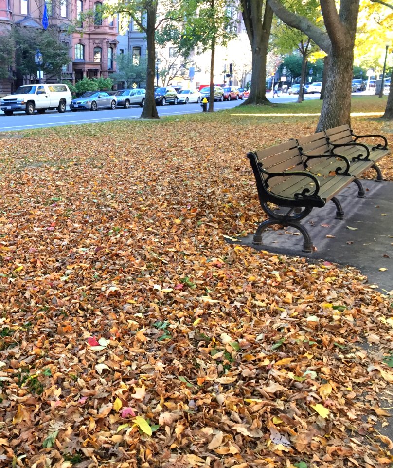 Back bay, Boston, United states