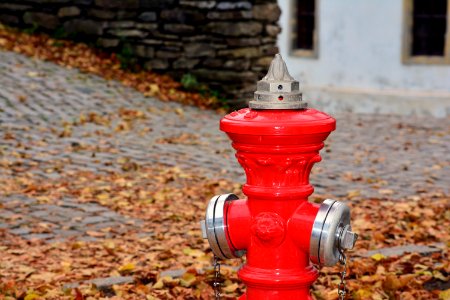 Lonely, Total red, Erythraean photo