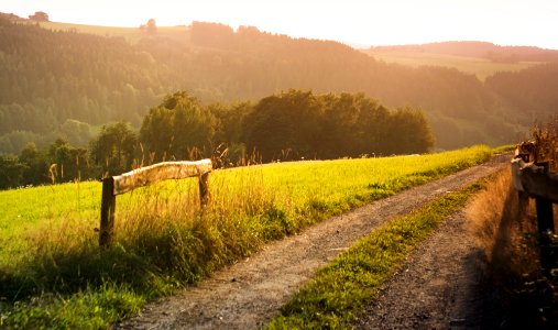 Breitenbrunn, Germany, Grass