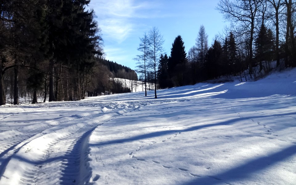 Rittersgr n, Breitenbrunn erzgebirge, Germany