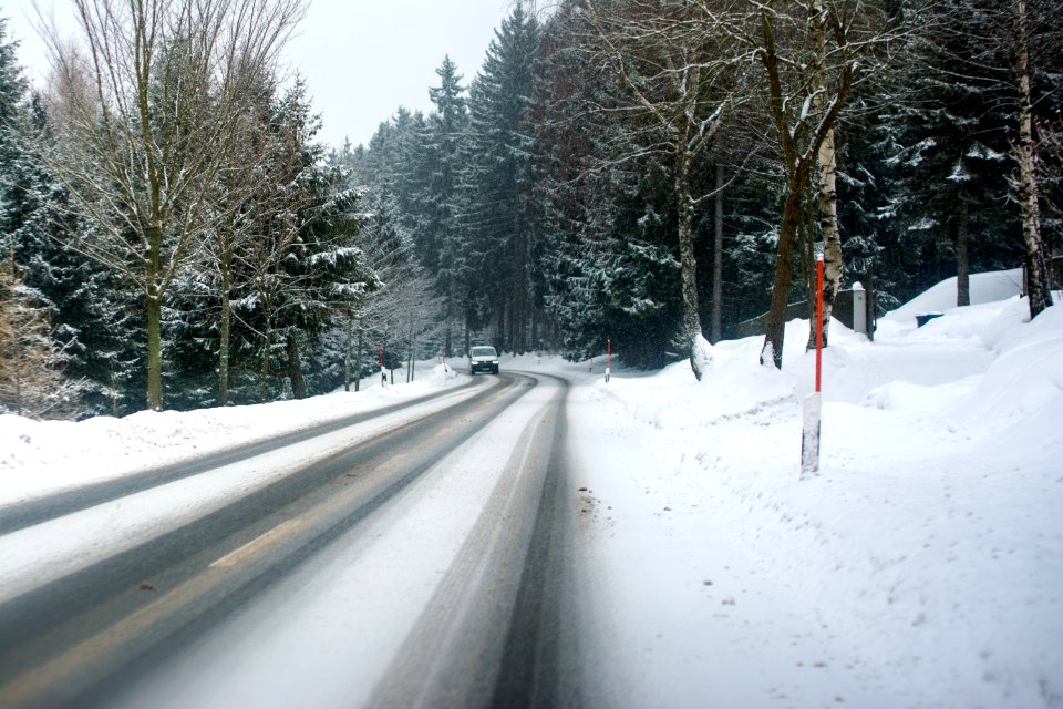 Trees, Car, Road