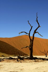 Dunes nature hills
