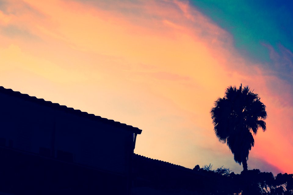 Beach, Sunset, Orange