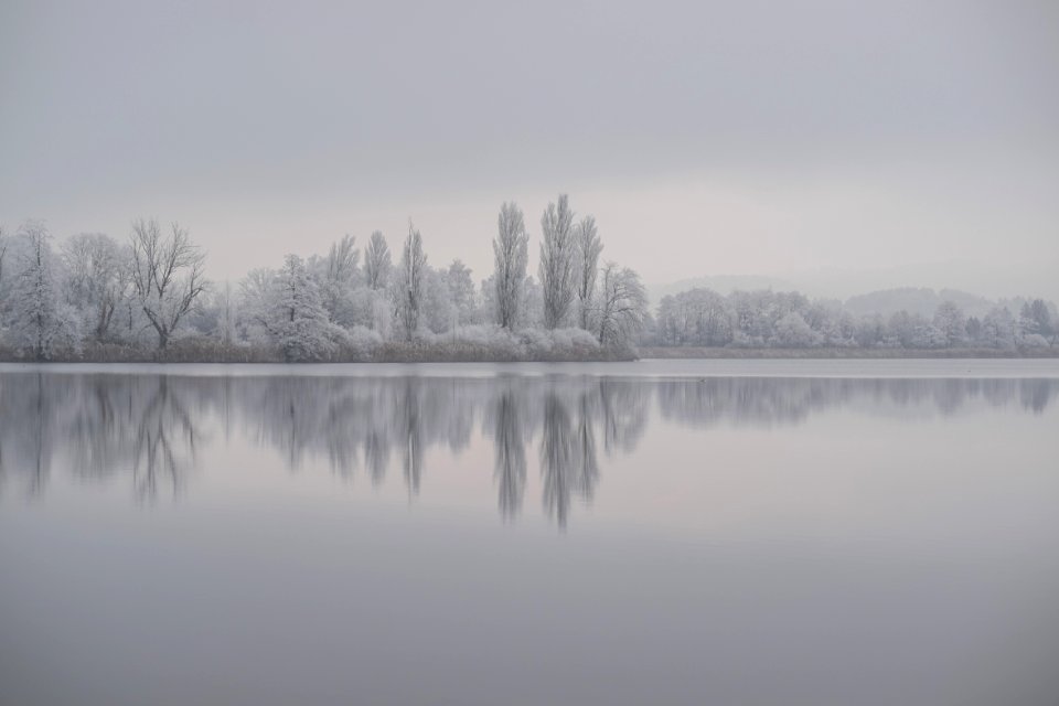Frozen, Lake, Winter photo