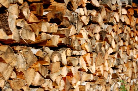 Wood