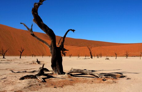 Dunes nature hills