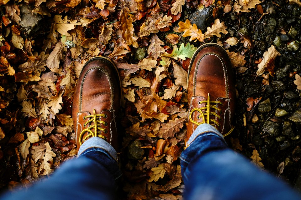 Scotl, Laces, Escape