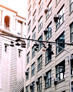 Brooklyn, New york, United states