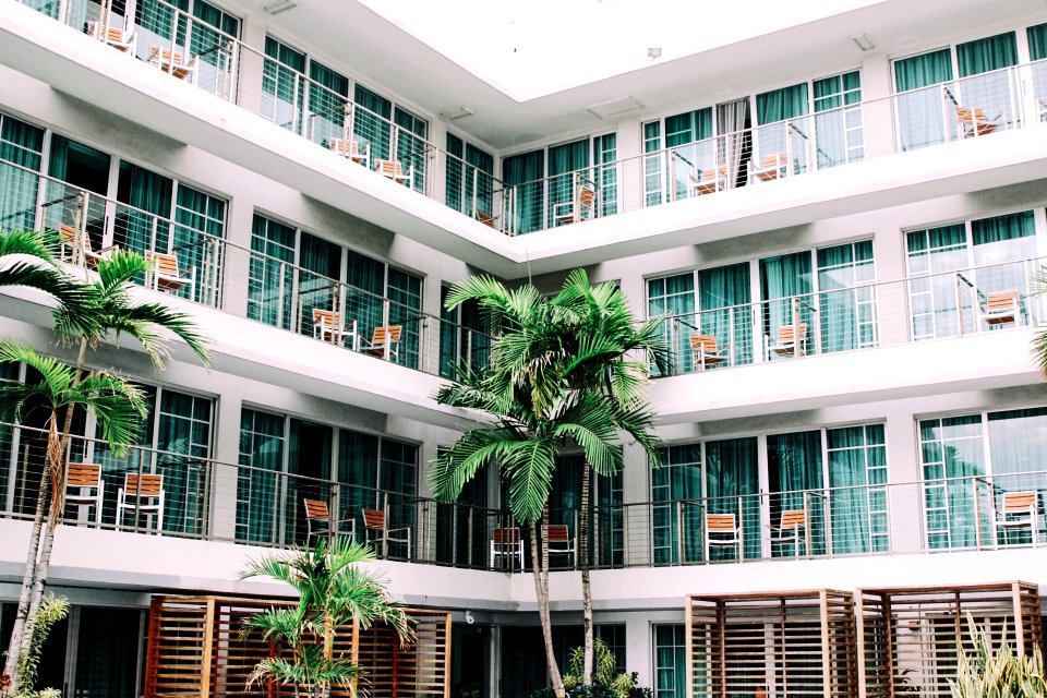 coconut palm trees in hotel lobby