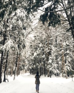 Canada, Muskoka, Girl