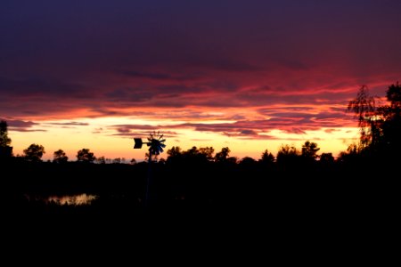 Silhouette, Fall, Summer