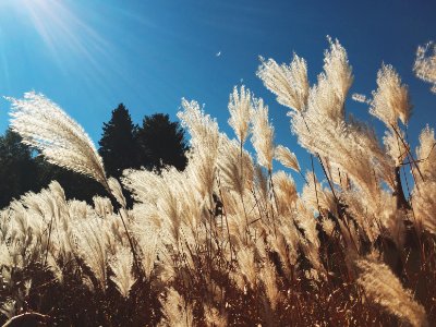 Sky, Fall, Autumn