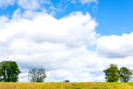 two people sitting on bench between four tall green trees under white clouds during daytime photo