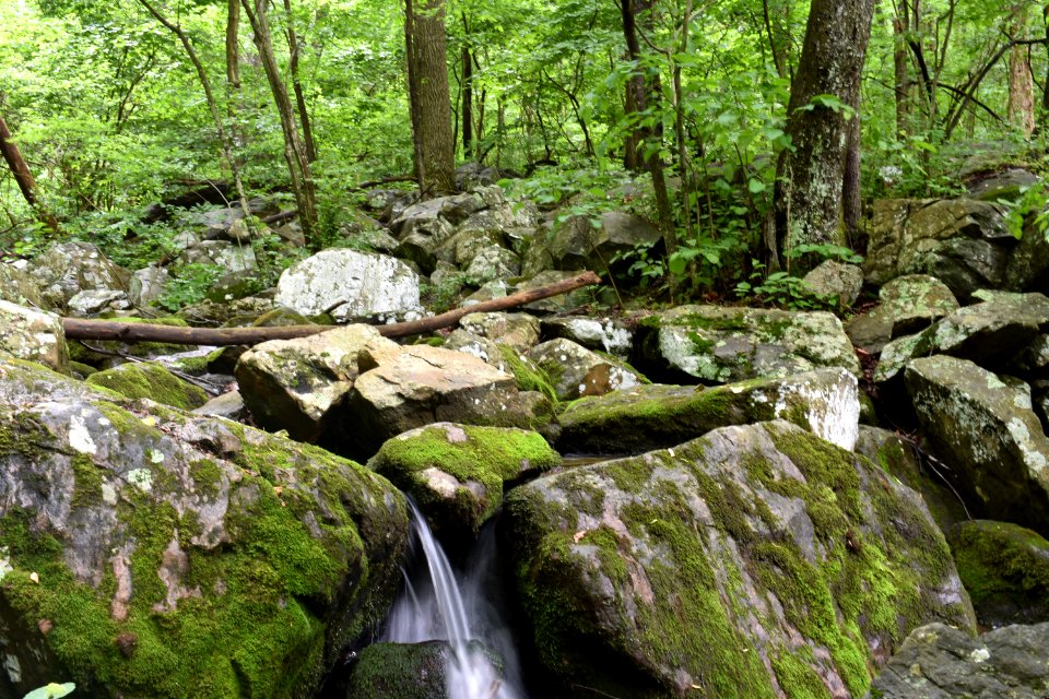 Raven rocks hike, Bluemont, United states